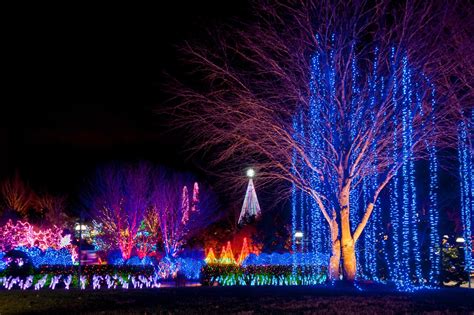 Journey Information to the North Carolina Arboretum Winter Lights in ...