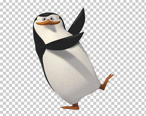 Penguin Madagascar Rico PNG, Clipart, Animals, Beak, Bird, Cartoon ...