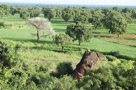 Global Warming Could Turn Sahel Green within Decades – The North Africa Post