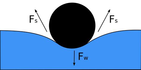 File:Surface Tension Diagram.svg - Simple English Wikipedia, the free encyclopedia