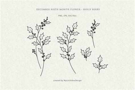 December Birth Month Flower, Christmas Holly Svg (1847957) | SVGs ...