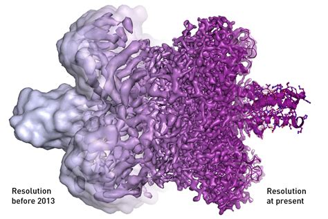 Nobel prize for chemistry: What cryo-electron microscopy is - Business Insider