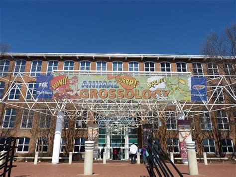 South Carolina State Museum (Columbia): Hours, Address, Attraction Reviews - TripAdvisor