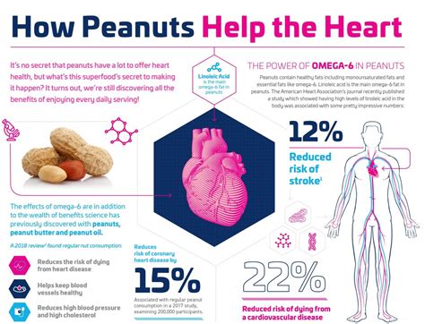 World-wide Study Finds Linoleic Acid Benefits the Heart - The Peanut Institute