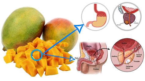 Mango Nutrition - Mango Vitamins - Mango Calories - Benefits Of Mango - Mango Fiber - YouTube