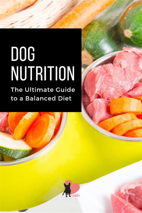 Dog Nutrition: The Ultimate Guide to a Balanced Diet | Dog nutrition, Dog diet, Nutrition