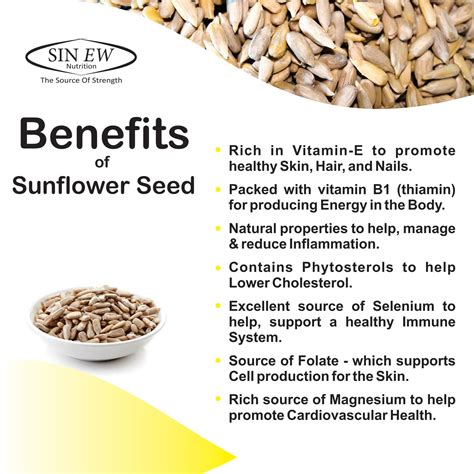 Sinew Sunflower Seeds | Buy Sunflower Seeds Online India | Sinewnutrition.com