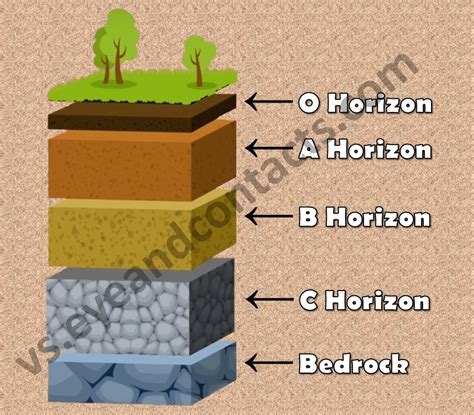 Different layers of soil - vs.eyeandcontacts.com