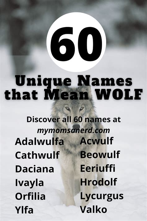 Names That Mean Wolf - 60 Great Ideas For Boys and Girls • My Mom's a Nerd