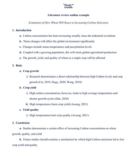 Literature Review Outline: Writing Approaches With Examples