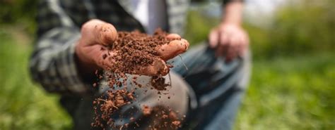 Everything You Need To Know About Loam Soil - The Habitat