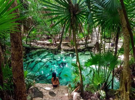 8 Best Cenotes Near Playa Del Carmen | Not To Miss