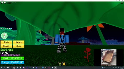 I don't Know why a red flower spawned at night time : r/bloxfruits