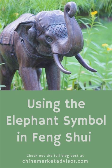 Using the Elephant Symbol in Feng Shui (Meaning, Applications, Where to ...