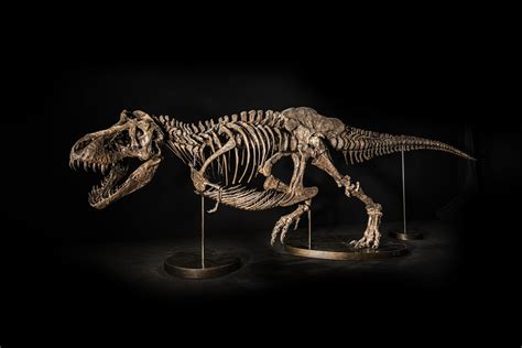 T-Rex Skeleton Shen Expected to Fetch Up to $25 Million at Christie’s Auction - Bloomberg