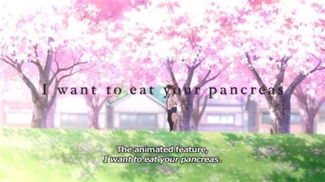 I Want To Eat Your Pancreas - Summary, Review (with Spoilers)