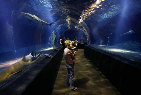 These are some of our favorite Tulsa attractions to share with visitors | Entertainment ...