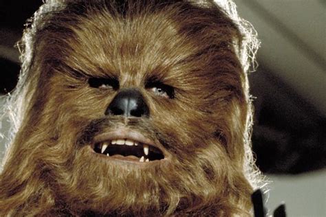 chewbacca / Boing Boing