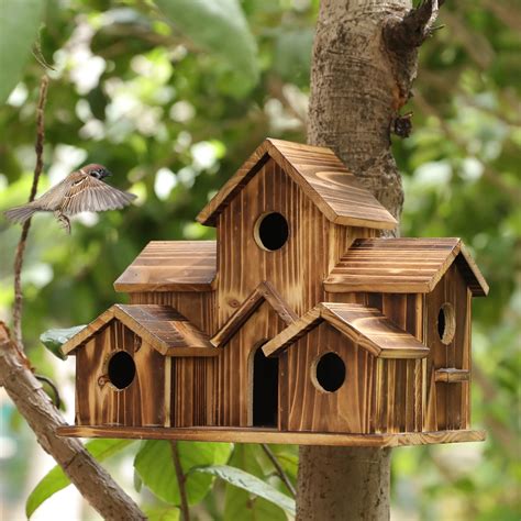 10 Best Goldfinch Bird Houses for Your Garden - Hummingbirds Plus