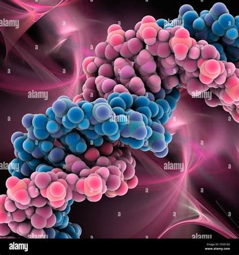 DNA molecule artwork Stock Photo - Alamy