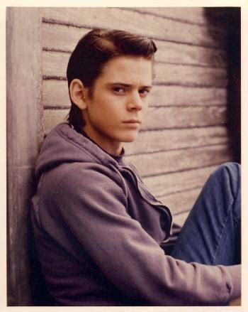 Ponyboy Curtis | The Outsiders Wiki | FANDOM powered by Wikia