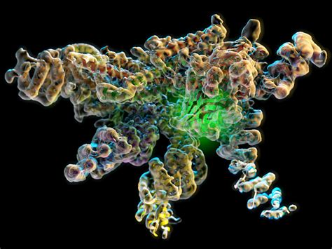 Crouching Protein, Hidden Enzyme | Cancer