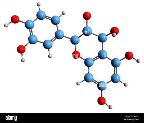 Anthocyanidin synthase hi-res stock photography and images - Alamy