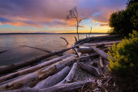 Washington State Parks upgrades reservation system - Curbed Seattle