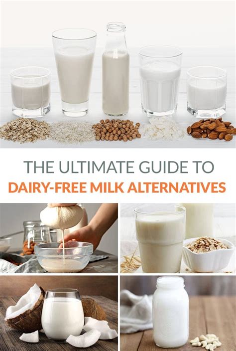 Ultimate Guide To Dairy-Free Milk Alternatives