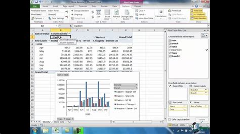 Pivot Tables For Dummies Excel 2010 | Cabinets Matttroy