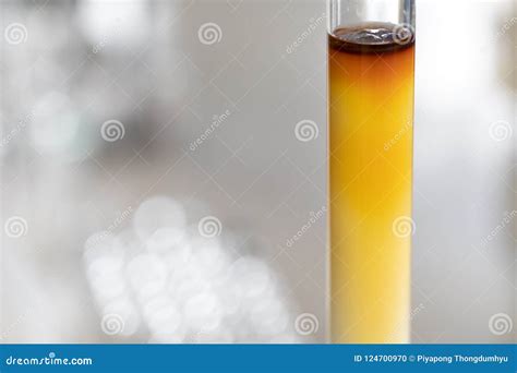 Química Da Cromatografia De Coluna No Laboratório Foto de Stock - Imagem de descoberta, marrom ...