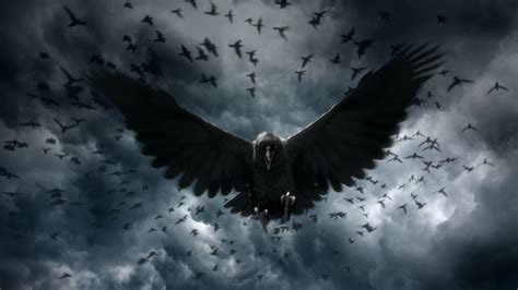 3840x2160, Crow Wallpapers - Crows Wallpaper Hd - 3840x2160 Wallpaper ...