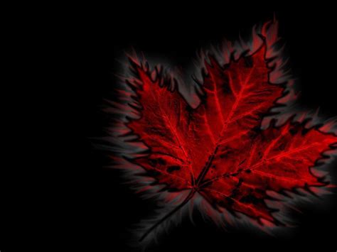 Canadian Flag Wallpapers - Wallpaper Cave