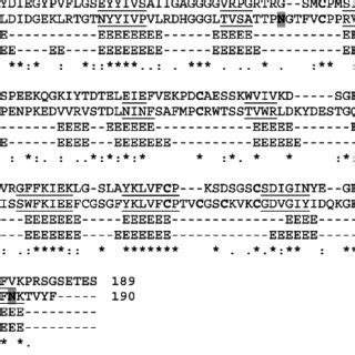 3D molecular model of Miraculin. Backbone ribbon is shown. Cys and His ...