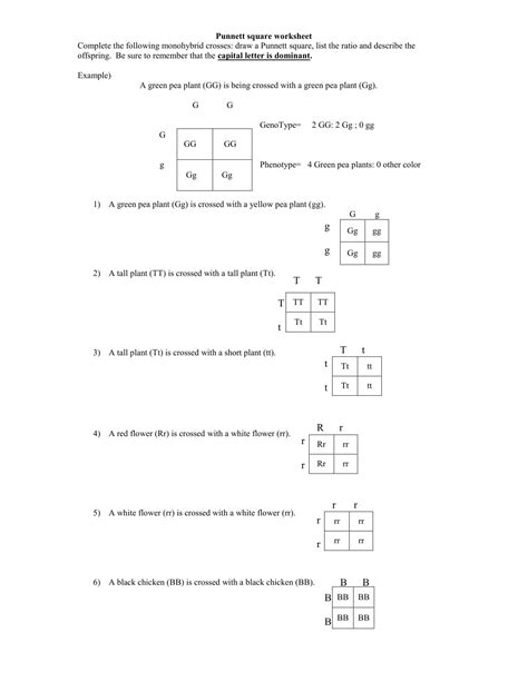 Punnett Square Practice Worksheets 2 Answer Key