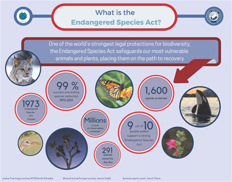 What is the Endangered Species Act? - Endangered Species Coalition