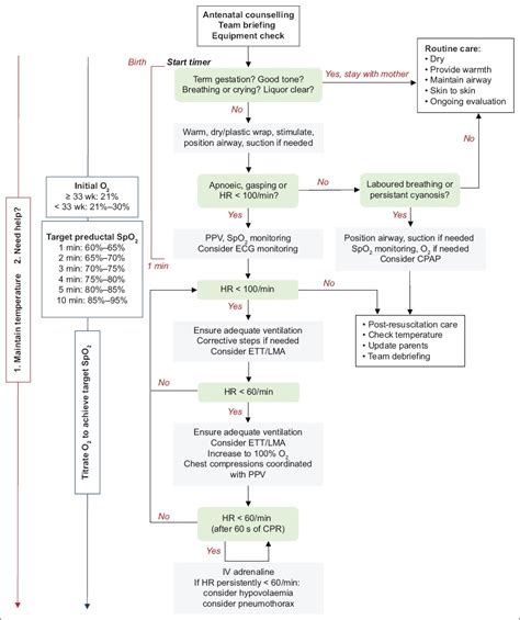 Neonatal Resuscitation: Updated Guidelines From The, 45% OFF