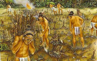 Ancient Mayan Agriculture