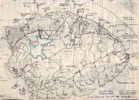 The Wise Old Owl: Pulau TEKONG in the early 80's...Master Orienteering Map