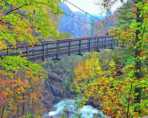 Suspension Bridge at Tallulah Gorge Photograph by Susan Leggett - Fine Art America