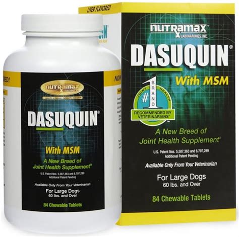 Nutramax Dasuquin with MSM for Large Dogs Review – Top Dog Tips