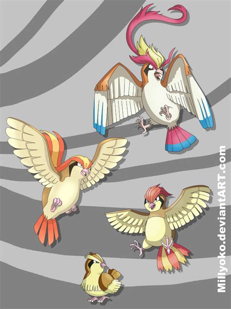 Pidgey, Pidgeotto, Pidgeot and Mega Pidgeot by Millyoko on DeviantArt