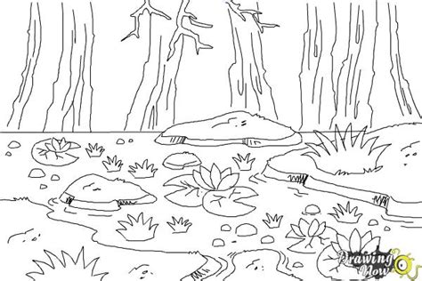 How to Draw a Swamp - DrawingNow