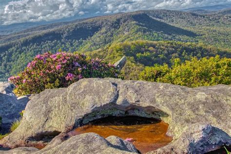 Linville Gorge Wilderness