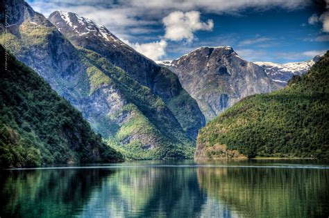 Nærøyfjord, Norway. UNESCO World Heritage Norway Forest, Norway Nature ...