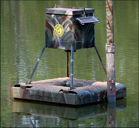 Pomacea maculata like automated/solar powered fish feeders too....