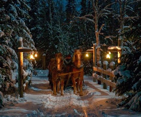 Sleigh-ride in the snow.... | Christmas sleigh, New england christmas, Christmas scenes