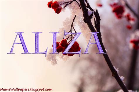 Aliza Name Wallpapers Aliza ~ Name Wallpaper Urdu Name Meaning Name ...