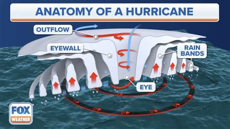 Buzzwords you’ll be hearing during hurricane season | Fox Weather