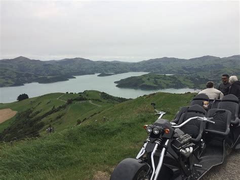 V8 TRIKES NZ (Akaroa) - All You Need to Know BEFORE You Go